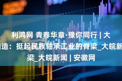 利鸿网 青春华章·豫你同行 | 大国重器洛轴造：挺起民族轴承工业的脊梁_大皖新闻 | 安徽网